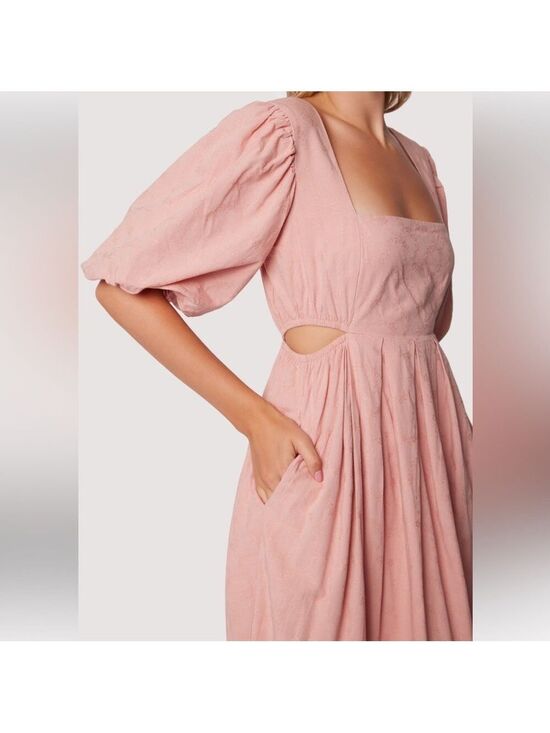 Lost + Wander Dresses & Skirts - NWT Lost & Wander Blush Pink Bird Song Midi Dress, Size Medium